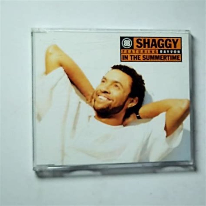 Shaggy, Rayvon - In The Summertime - mother daughter song for quince