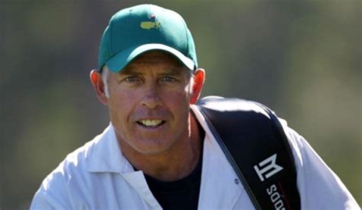 steve williams salary and earnings