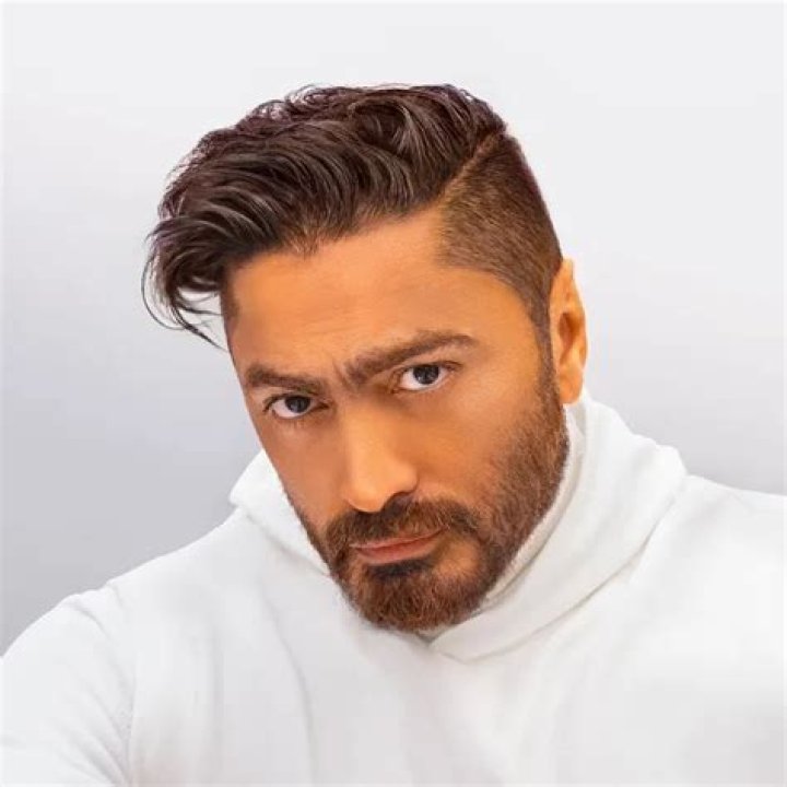 Tamer Hosny Net Worth
