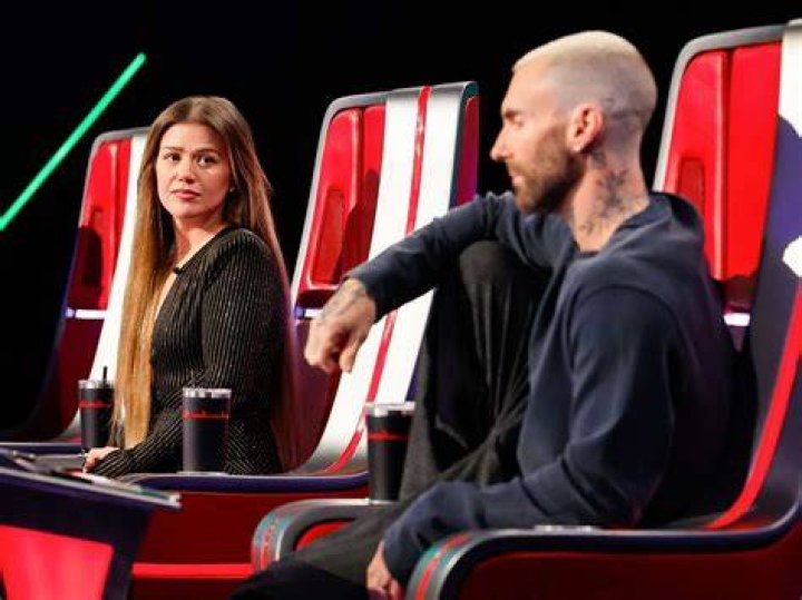 The Voice Coaches