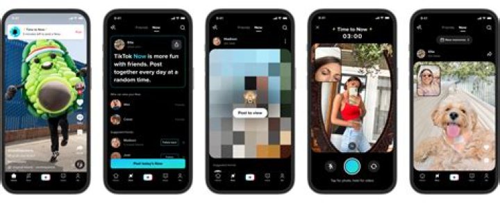 Tiktok on a phone screen