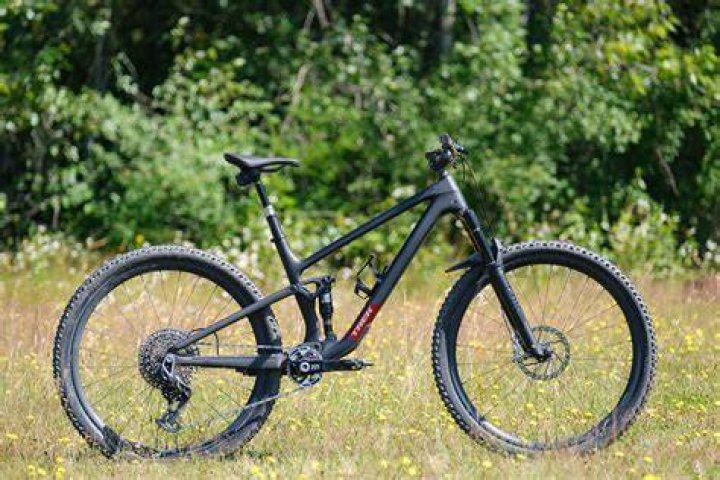 Trek Buccino Net Worth