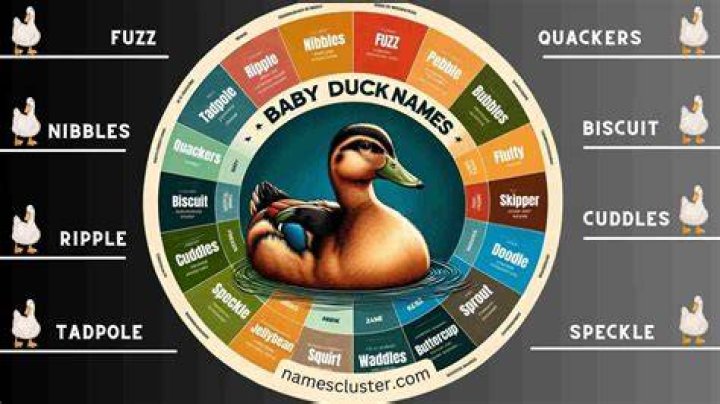 Unique duck names