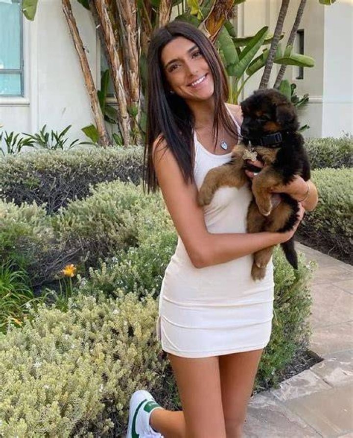 Venus Ghazi Net Worth