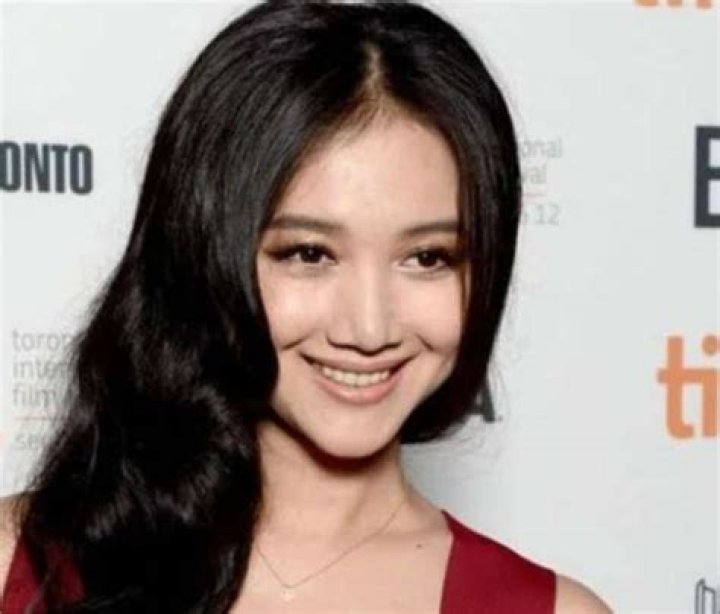 wenwen han net worth wenwen han net worth