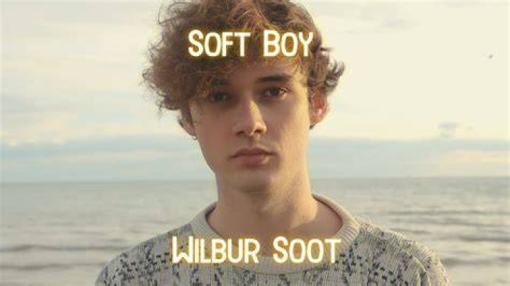 Wilbur Soot - Soft Boy (Lyrics) *Unreleased* - artist like wilbur soot