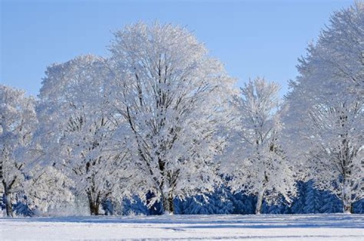 Winter Blanco&rsquo;s age